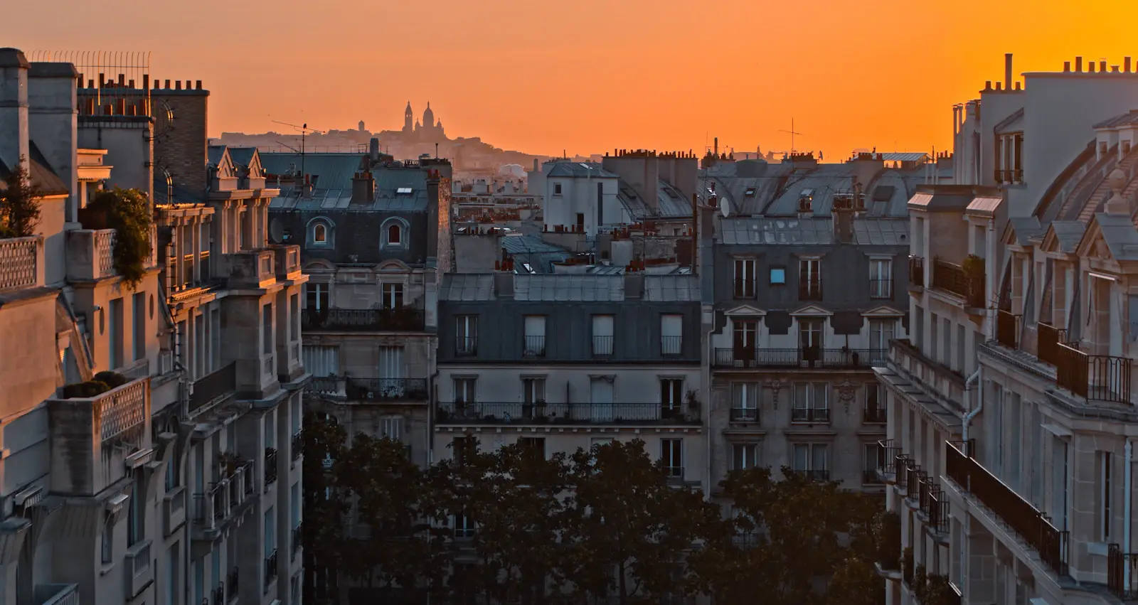 Panorama sur les toits de Paris et le Sacré-Cœur